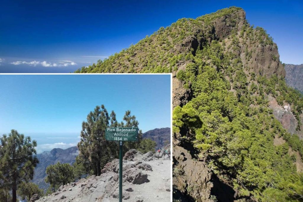 Pico Bejenado, La Palma