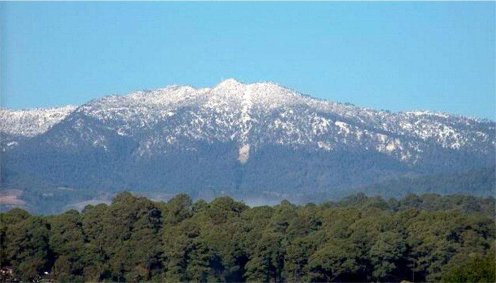 Área de protección de flora y fauna Pico de Tancítaro