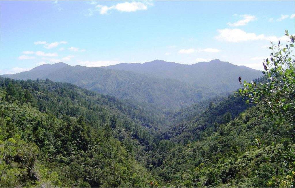 Parque Nacional Pico La Bayamesa