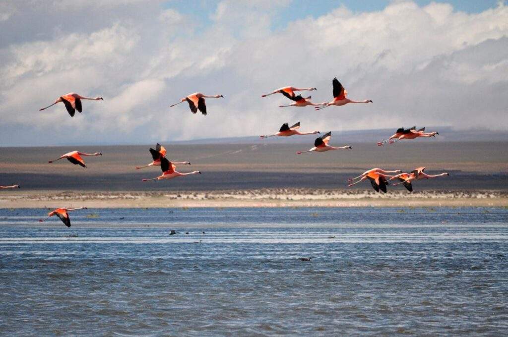 Reserva Biológica Cordillera de Sama