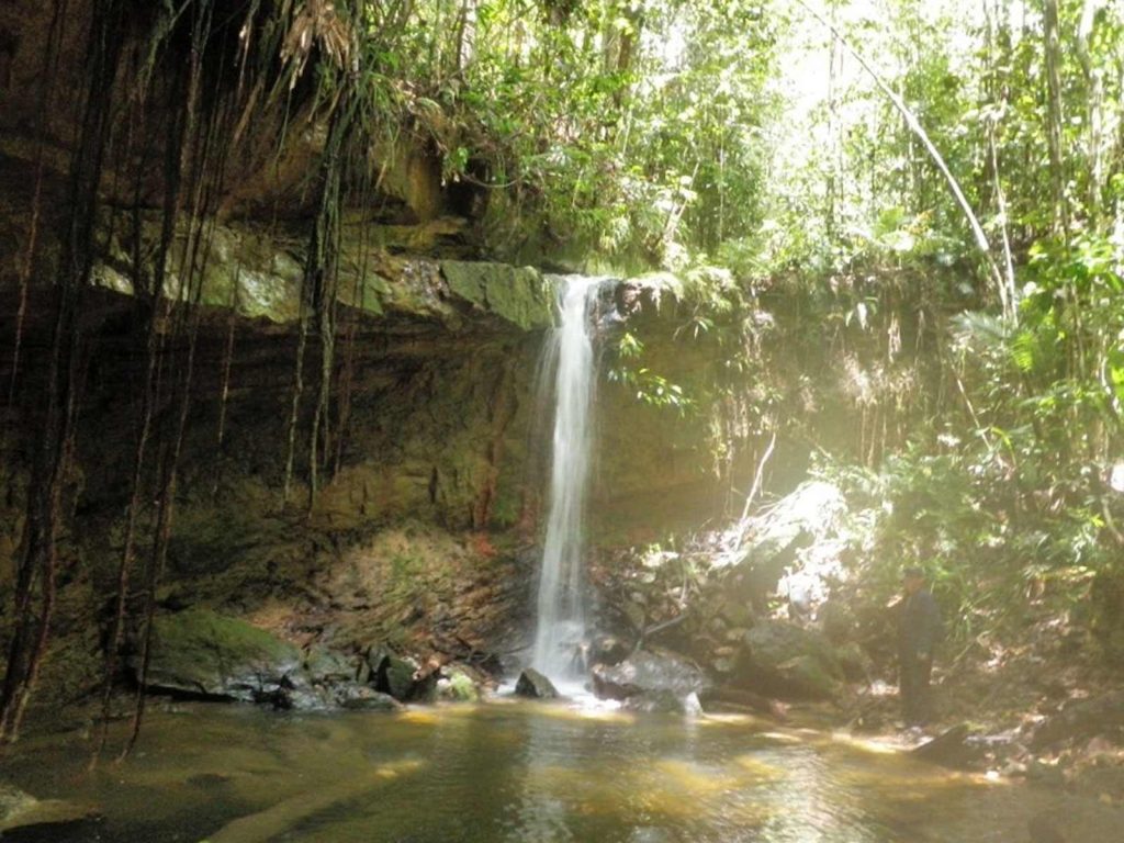 Reserva Forestal de Bukit Teraja, Brunéi: guía de visitas