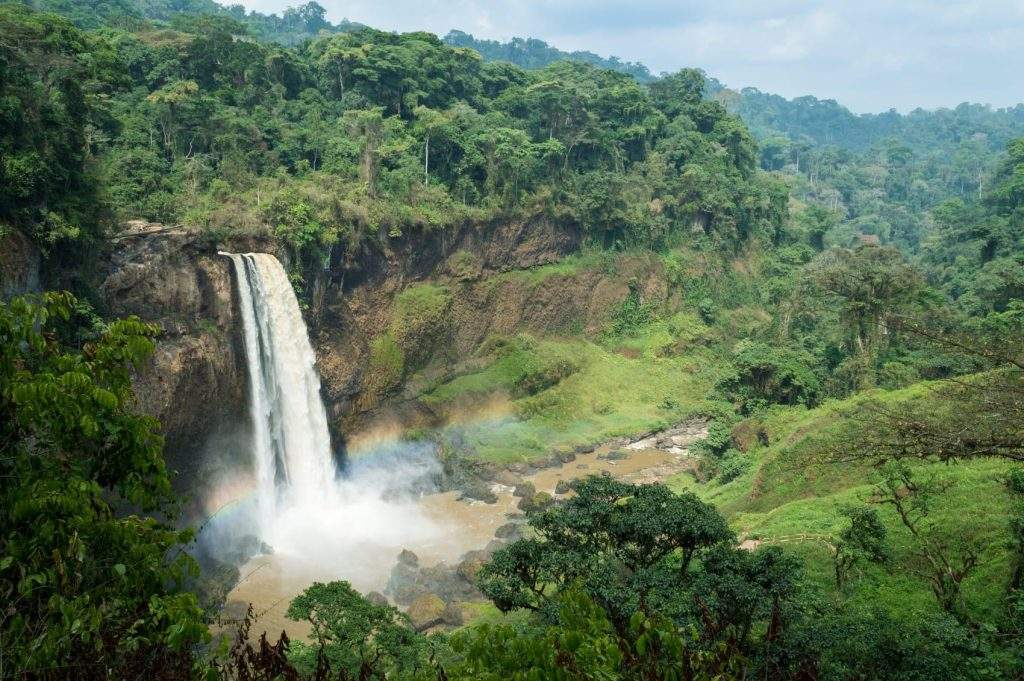 Reservas de la Biosfera en Camerún