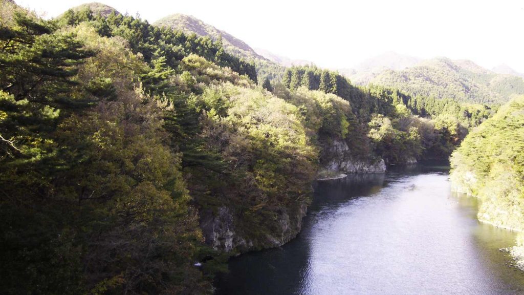 Cauce del río Kinu, paisajes de la vegetación y cambio de color de las plantas