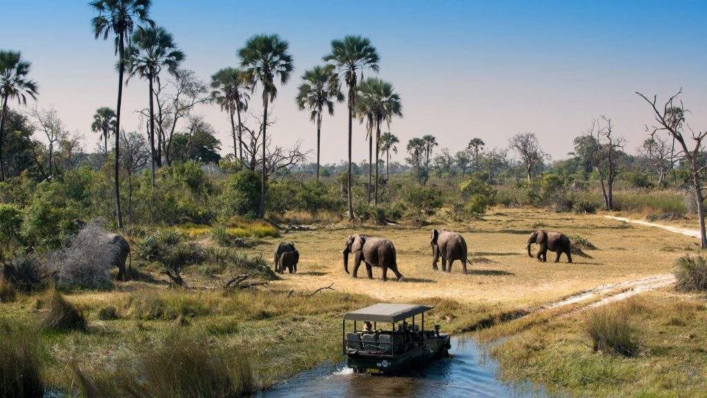 Safari con elefantes en Botswana