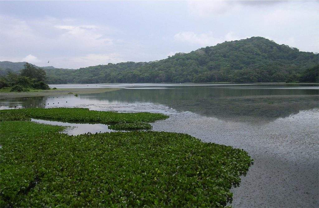 Parque Nacional Soberanía