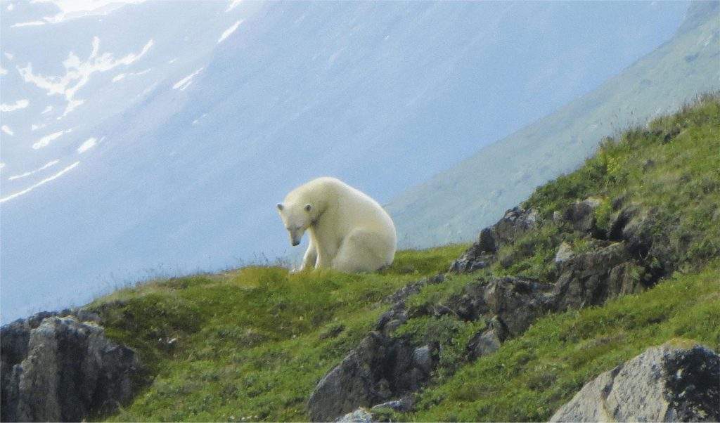 Parque Nacional Torngat Mountains