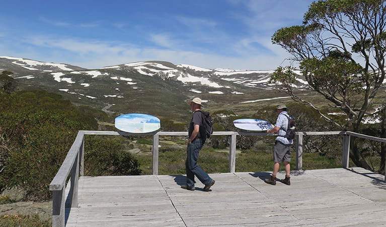 Charlotte Pass Lookout