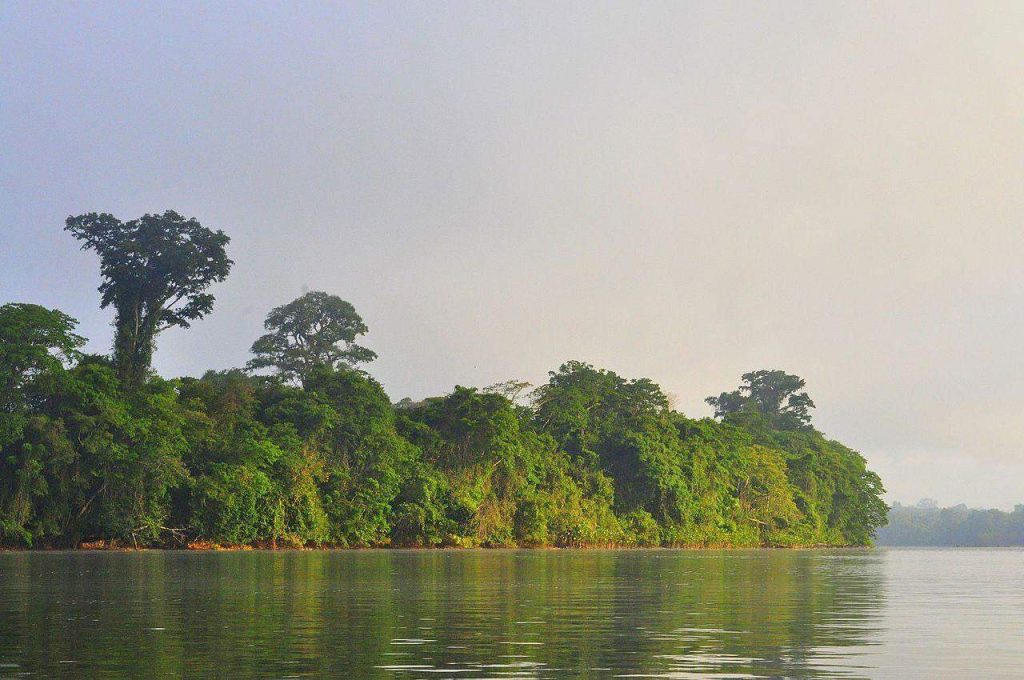 Parc Amazonien de Guyane