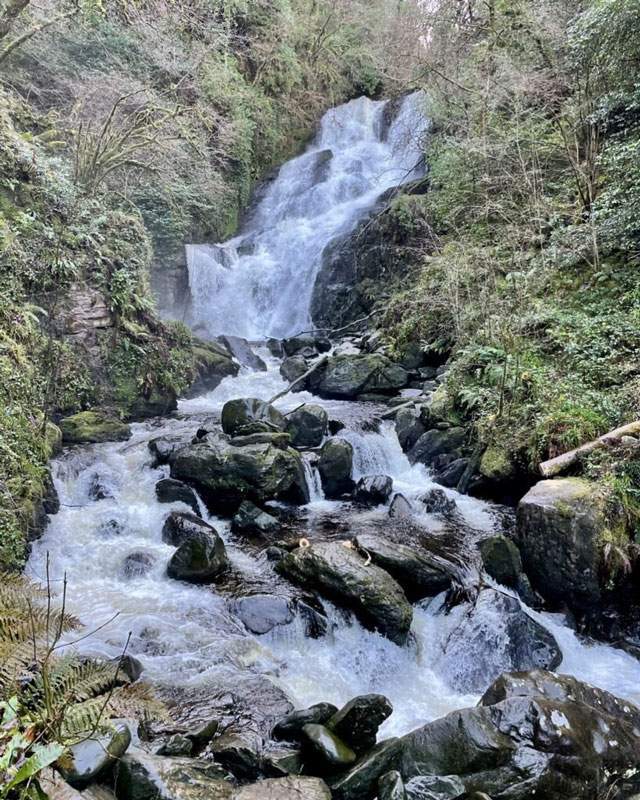 Visitez la Chute d'eau de Torc (chute d'eau de Torc ou Easach Toirc) le long de la rivière Owengarriff dans le parc national de Killarney, à 7 kilomètres (4,3 miles) de Killarney, comté de Kerry, Irlande