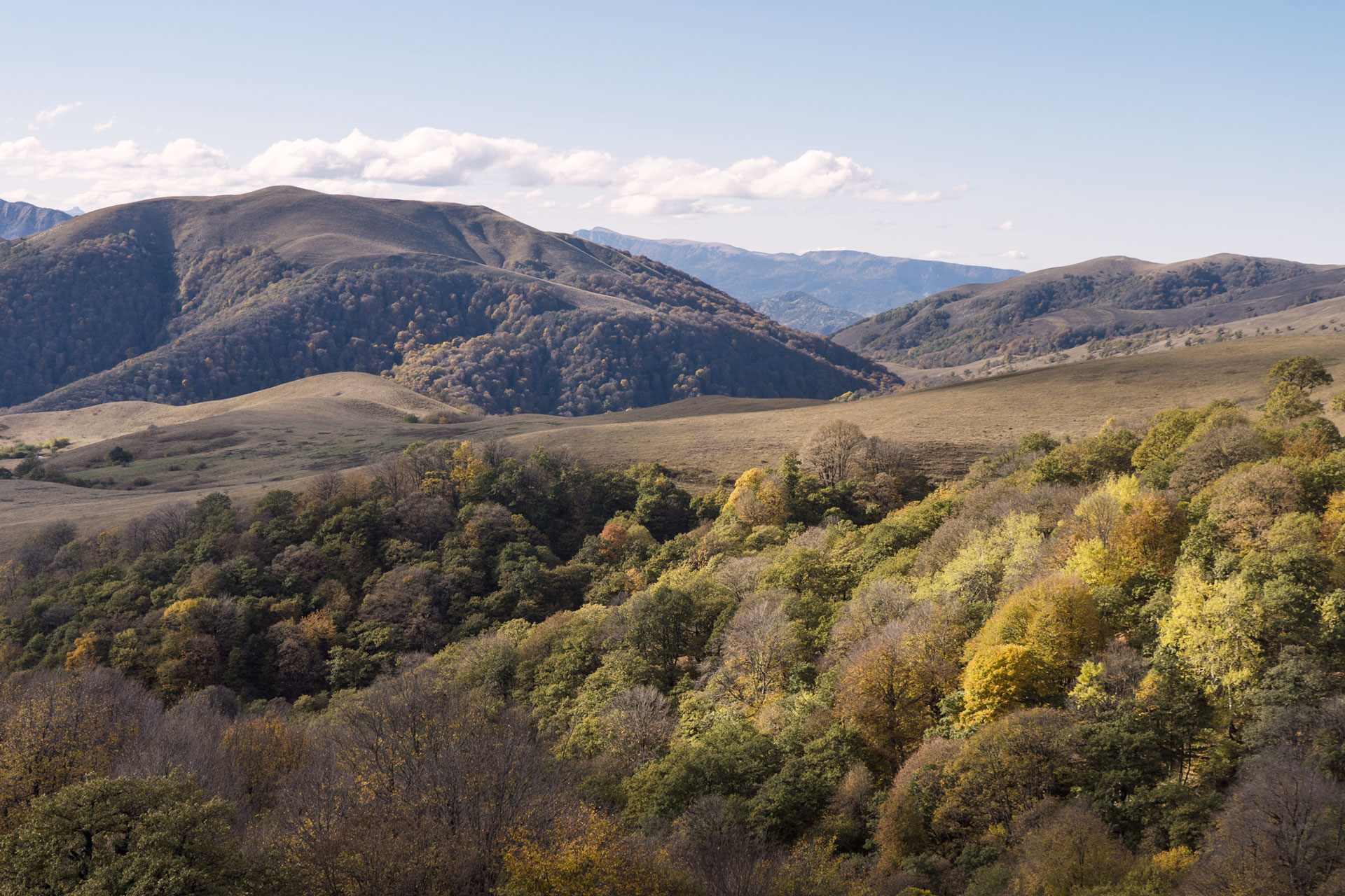 Nationaal Park Algeti, Georgië: bezoekersgids, activiteiten en hoe er te komen