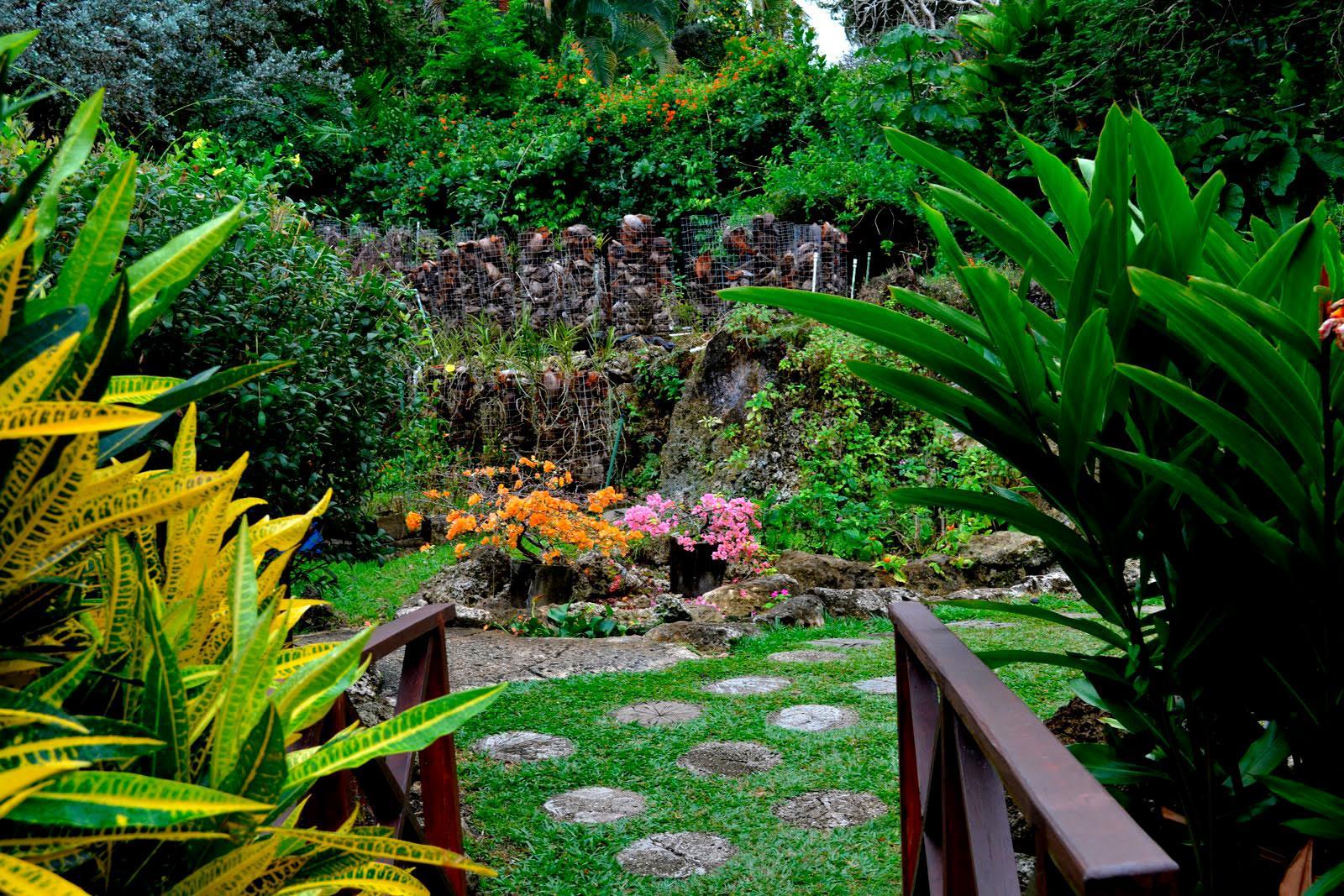 Andromeda Botanische Gärten in Barbados