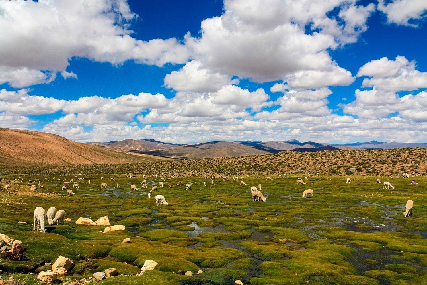 Zone Naturelle de Gestion Intégrée Apolobamba