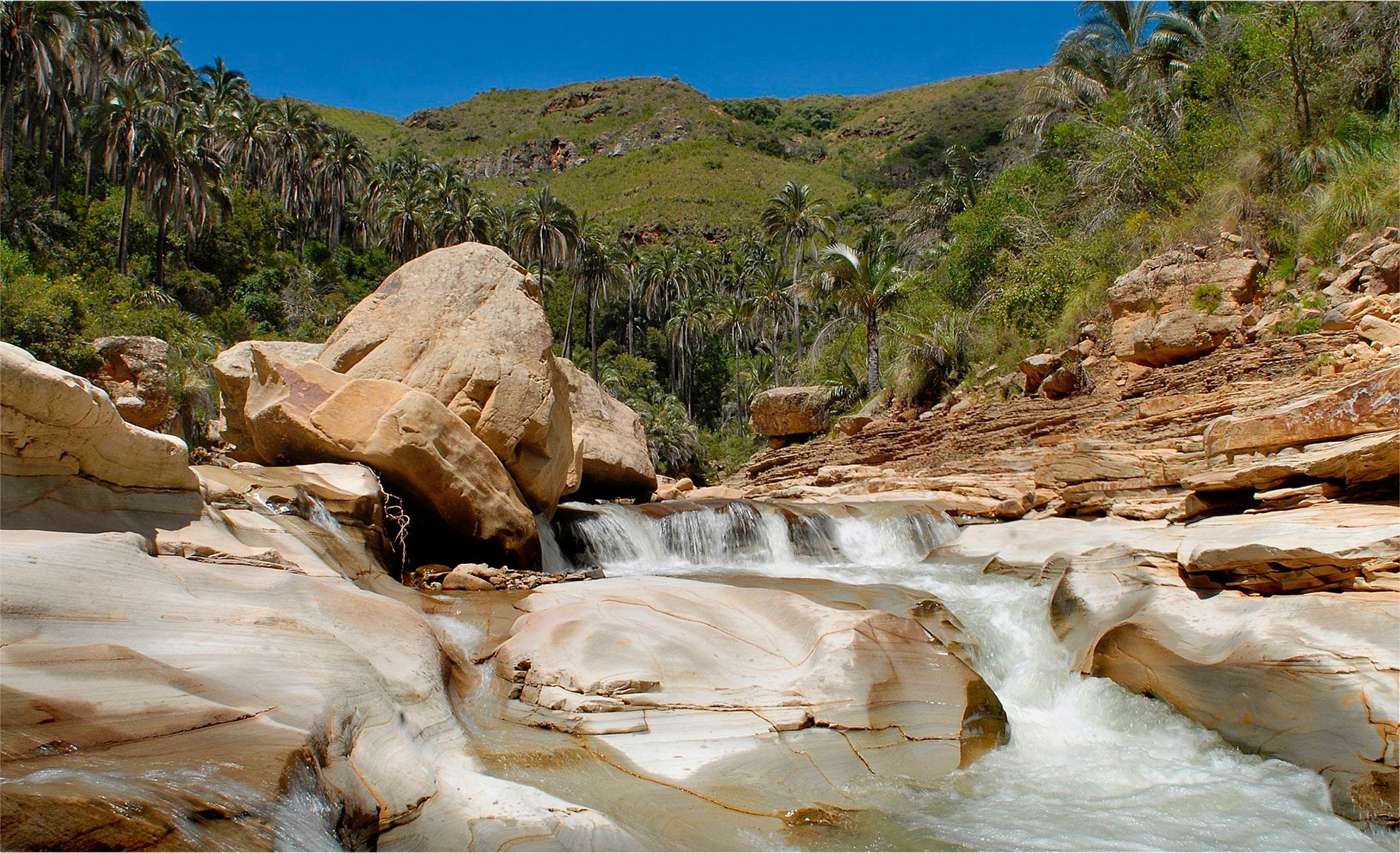 El Palmar Integrated Natural Management Area in Santa Cruz, Bolivia