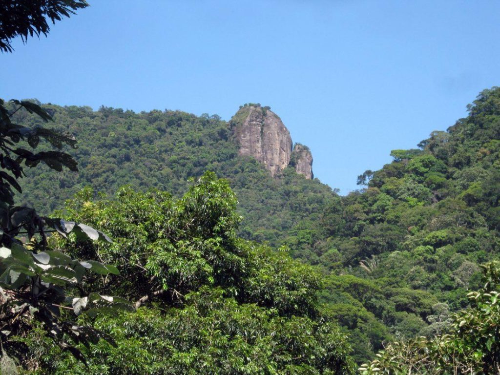 Attractions in Tijuca National Park: recommended visits