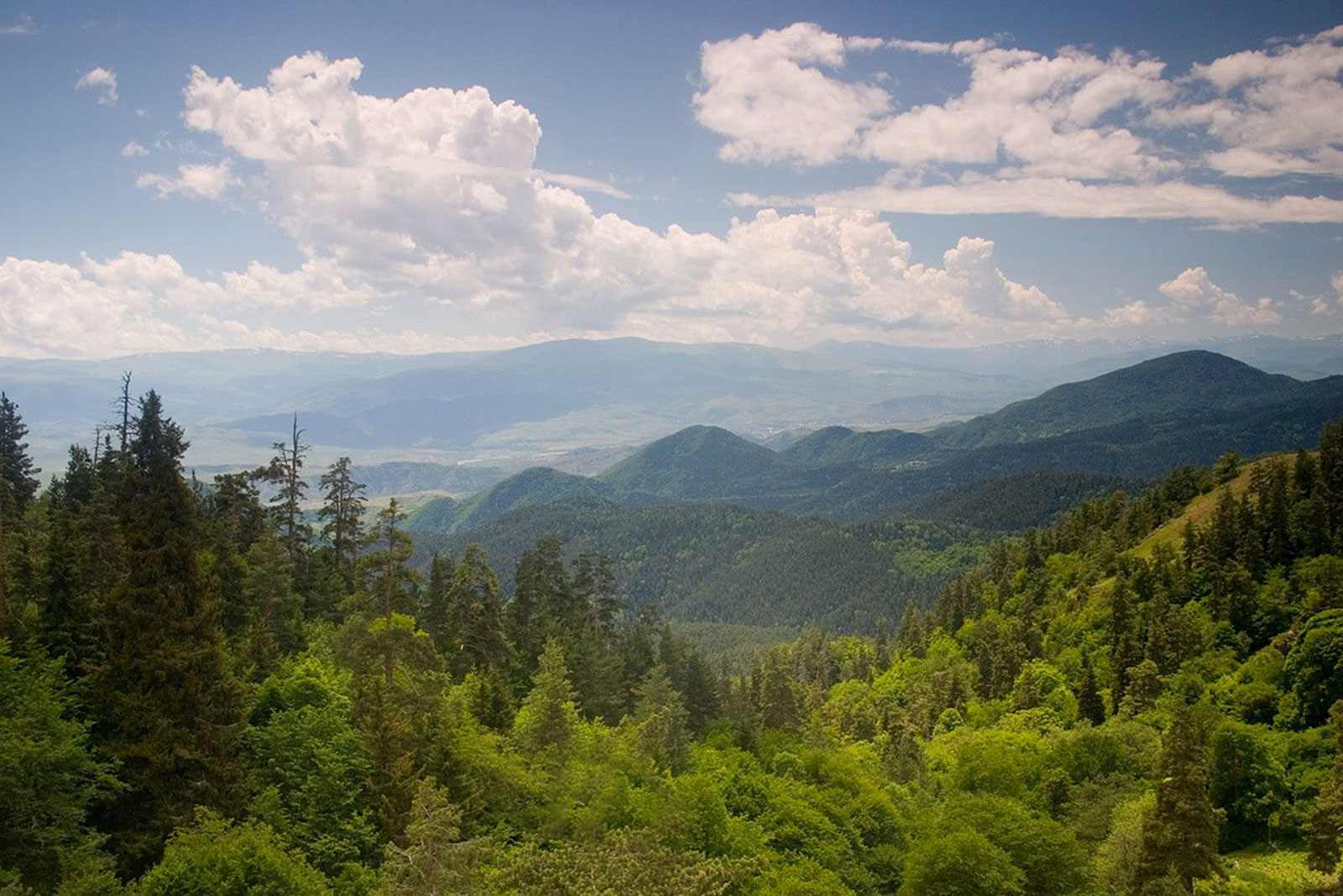 Borjomi-Kharagauli National Park, Georgia: Visitor Guide