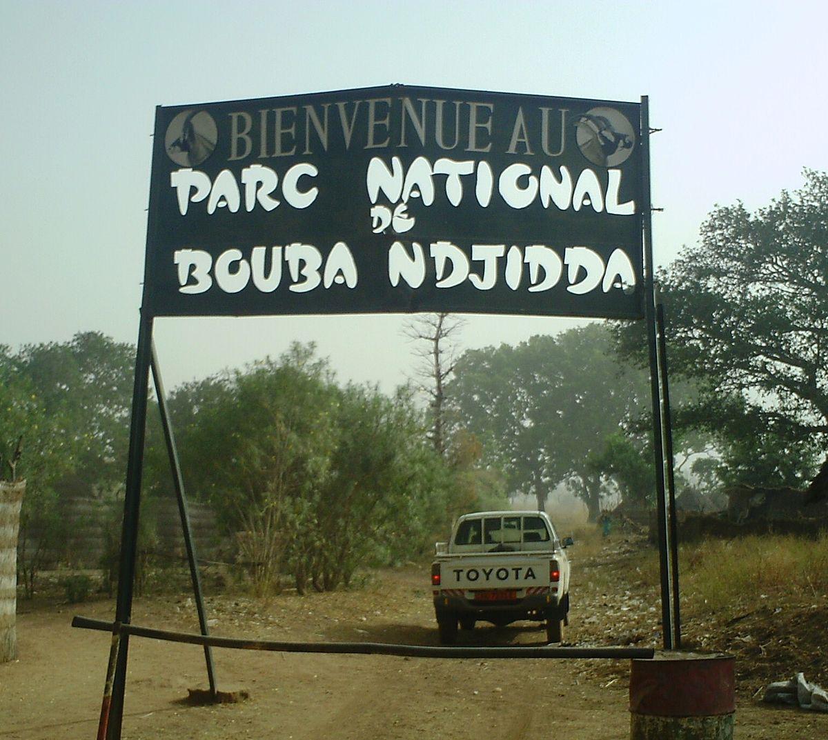 Parc national de Bouba Ndjida : Guide complet du charme sauvage de l’Afrique