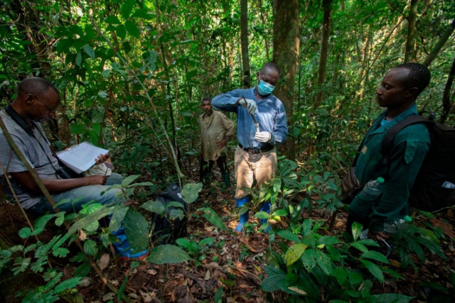 Campo-Ma'an National Park