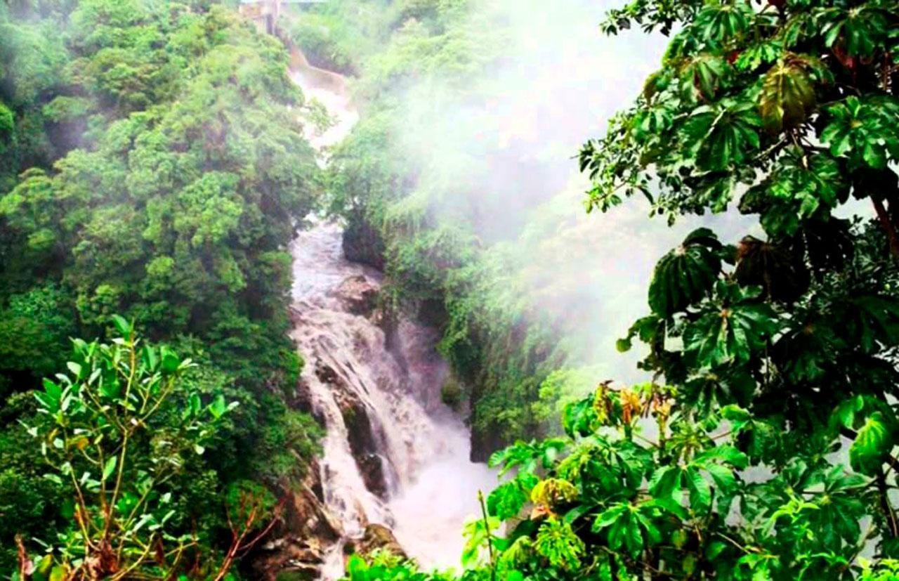 Nationalpark Río Blanco