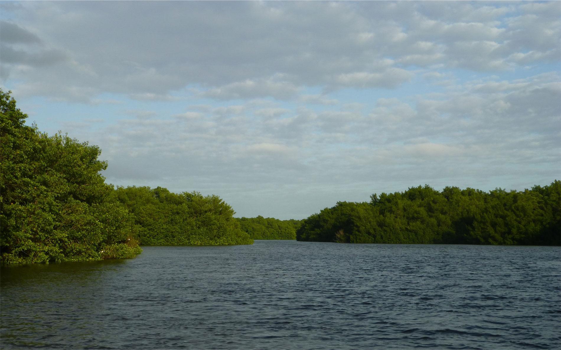 Nationalpark Caroni Lagoon