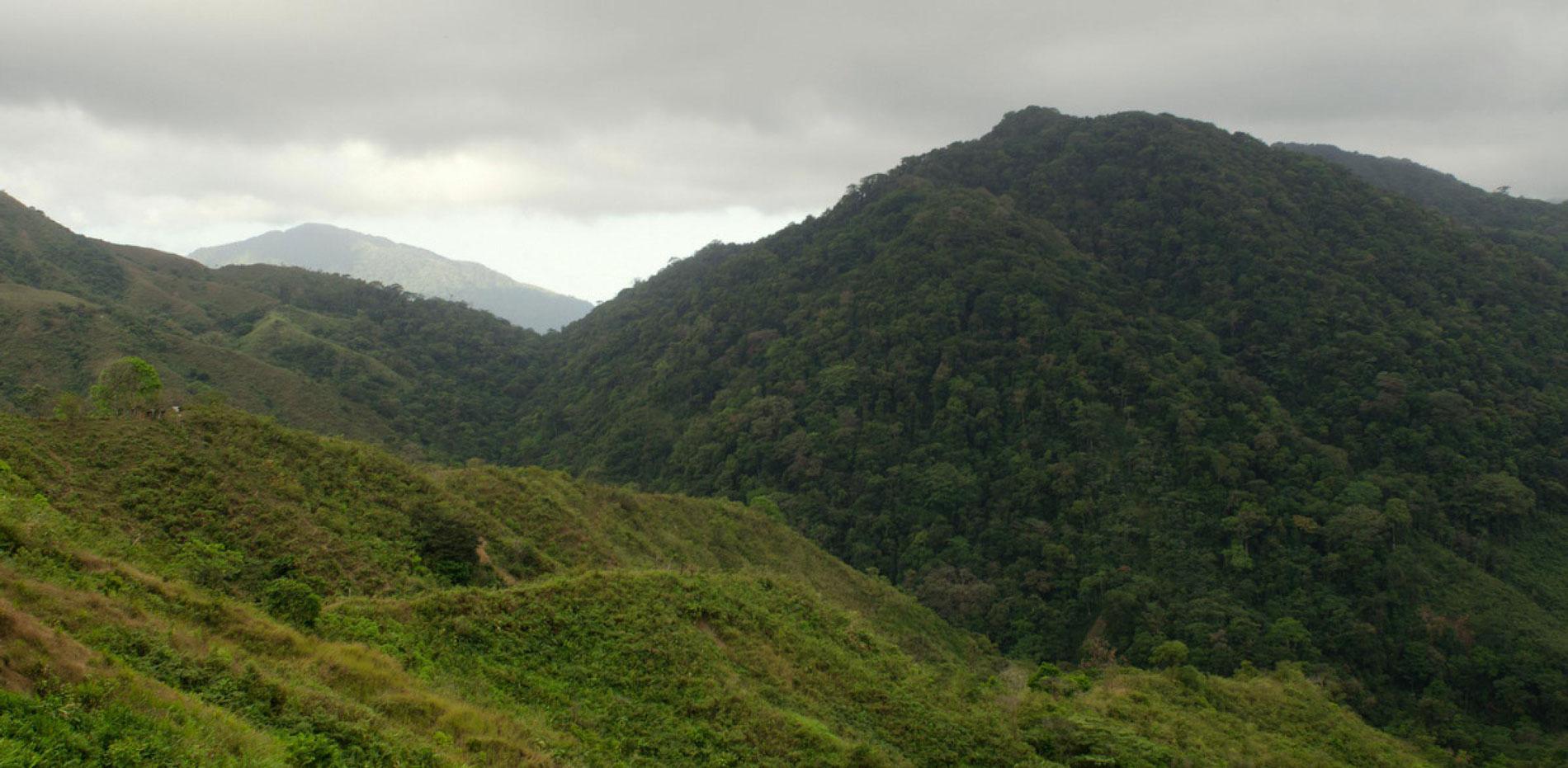 Parc national Cerro Hoya