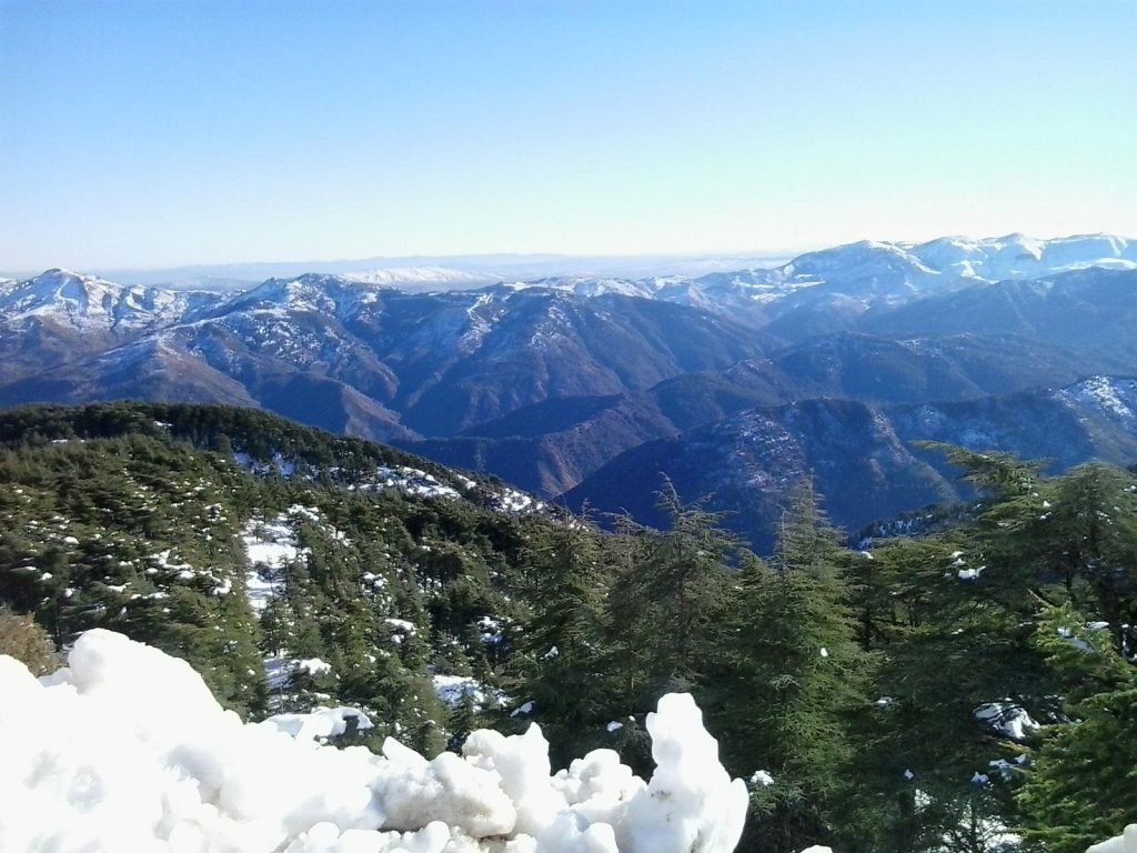 Parc national de Chréa en Algérie, Afrique