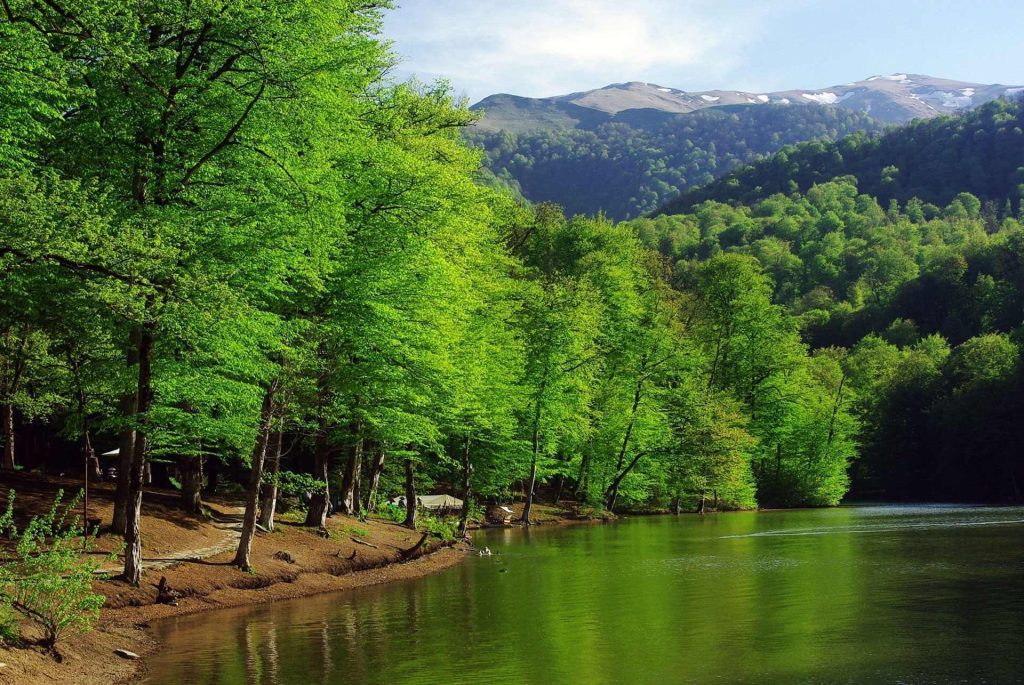 Dilijan National Park, Armenia: monasteries, churches, and nature