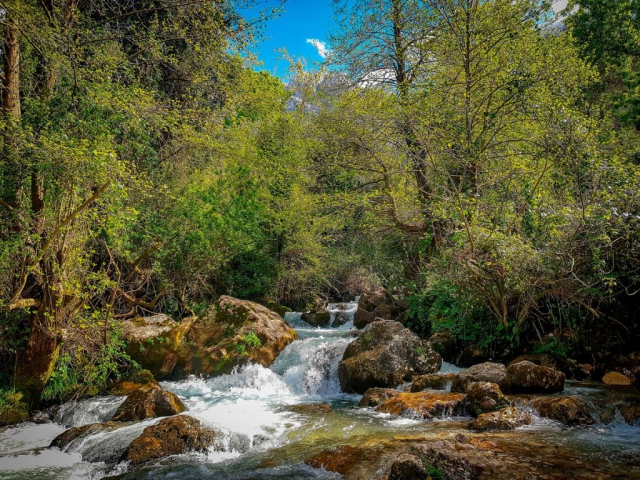 Djurdjura National Park