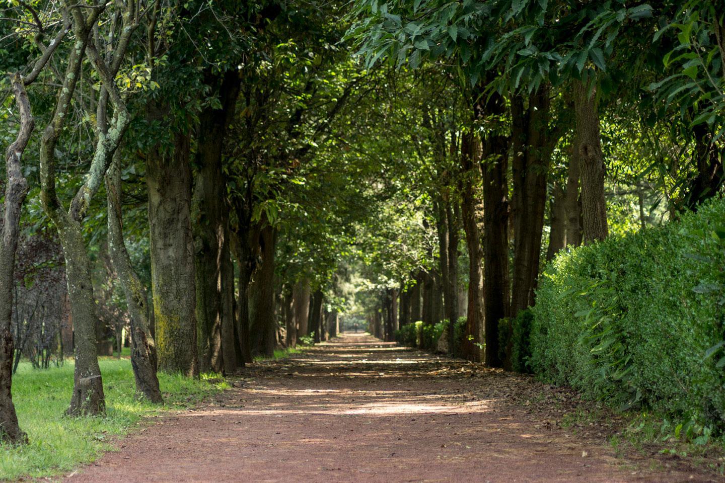 Nationalpark El Histórico Coyoacán