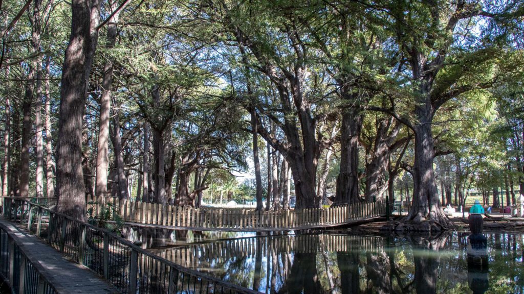 El Sabinal National Park