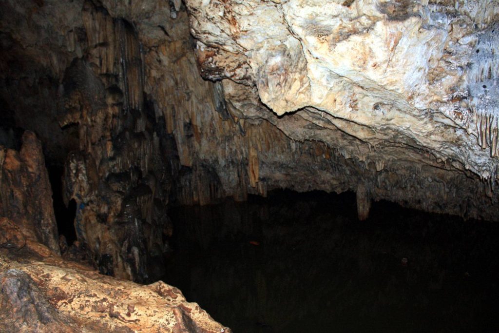 Grotte Ana 'Ahu, Île de ʻEua, Tonga