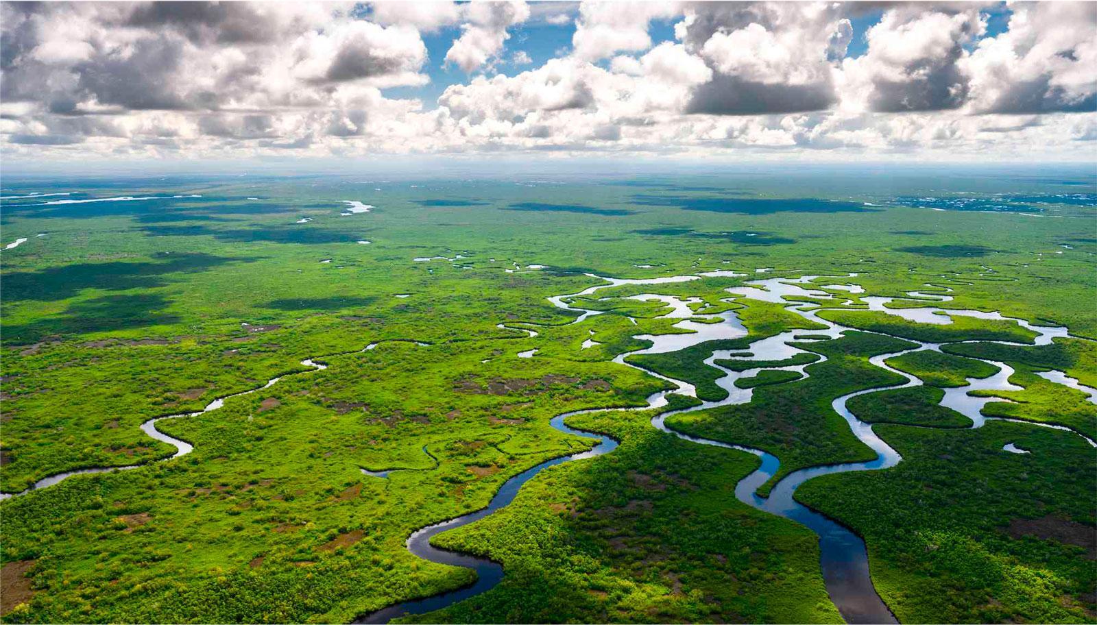 Parc National des Everglades