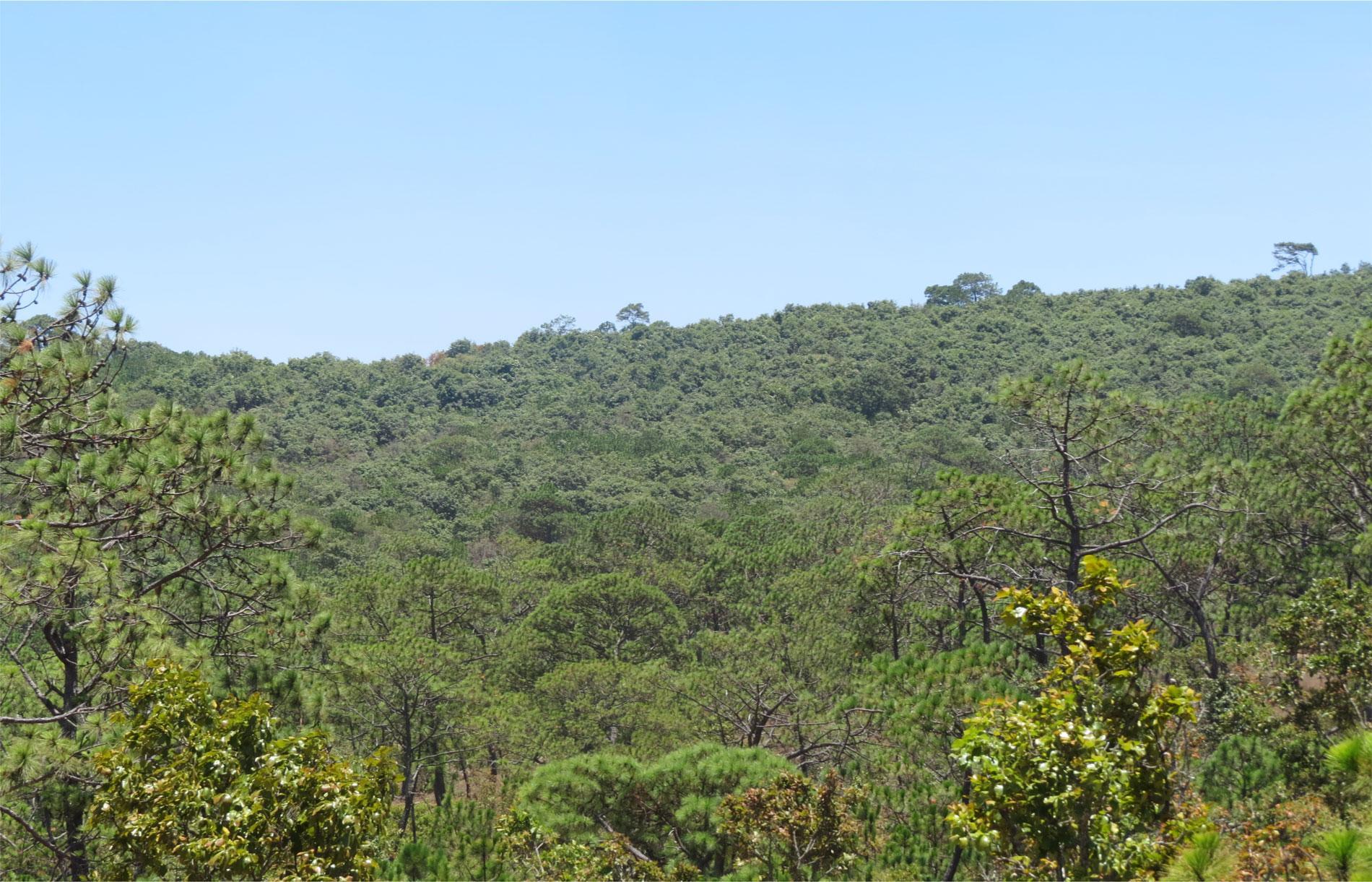 General Juan N. Álvarez National Park in Guerrero, Mexico