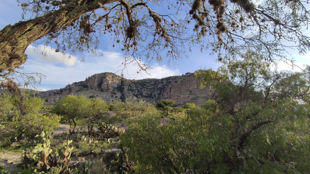 Gogorrón National Park