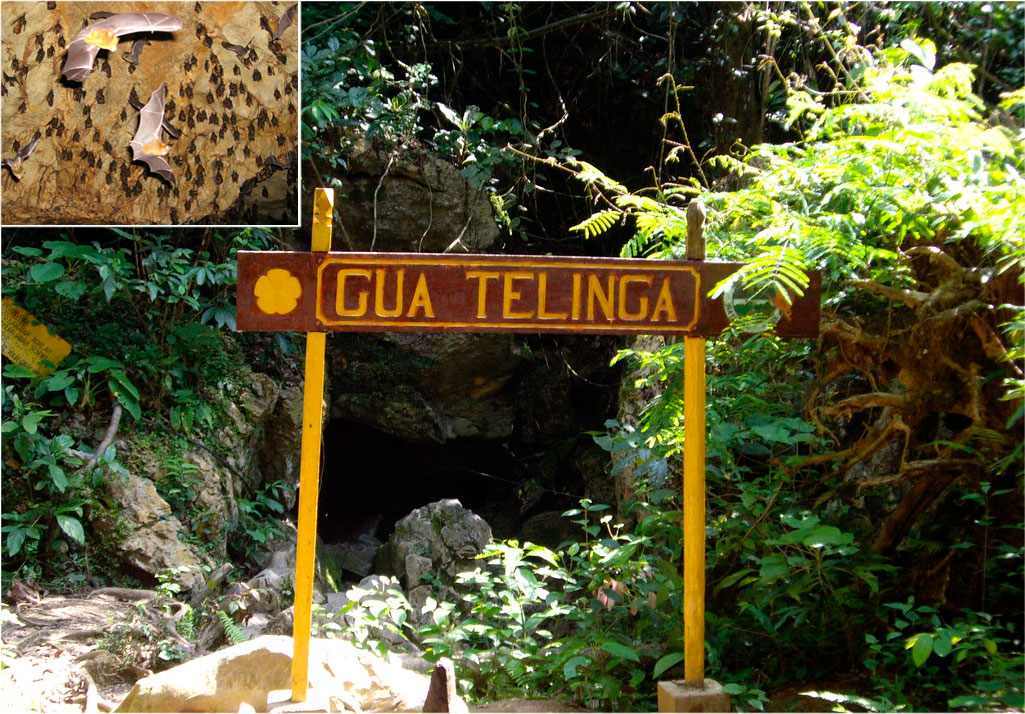 Gua Telinga-Höhlen, Taman Negara, Malaysia