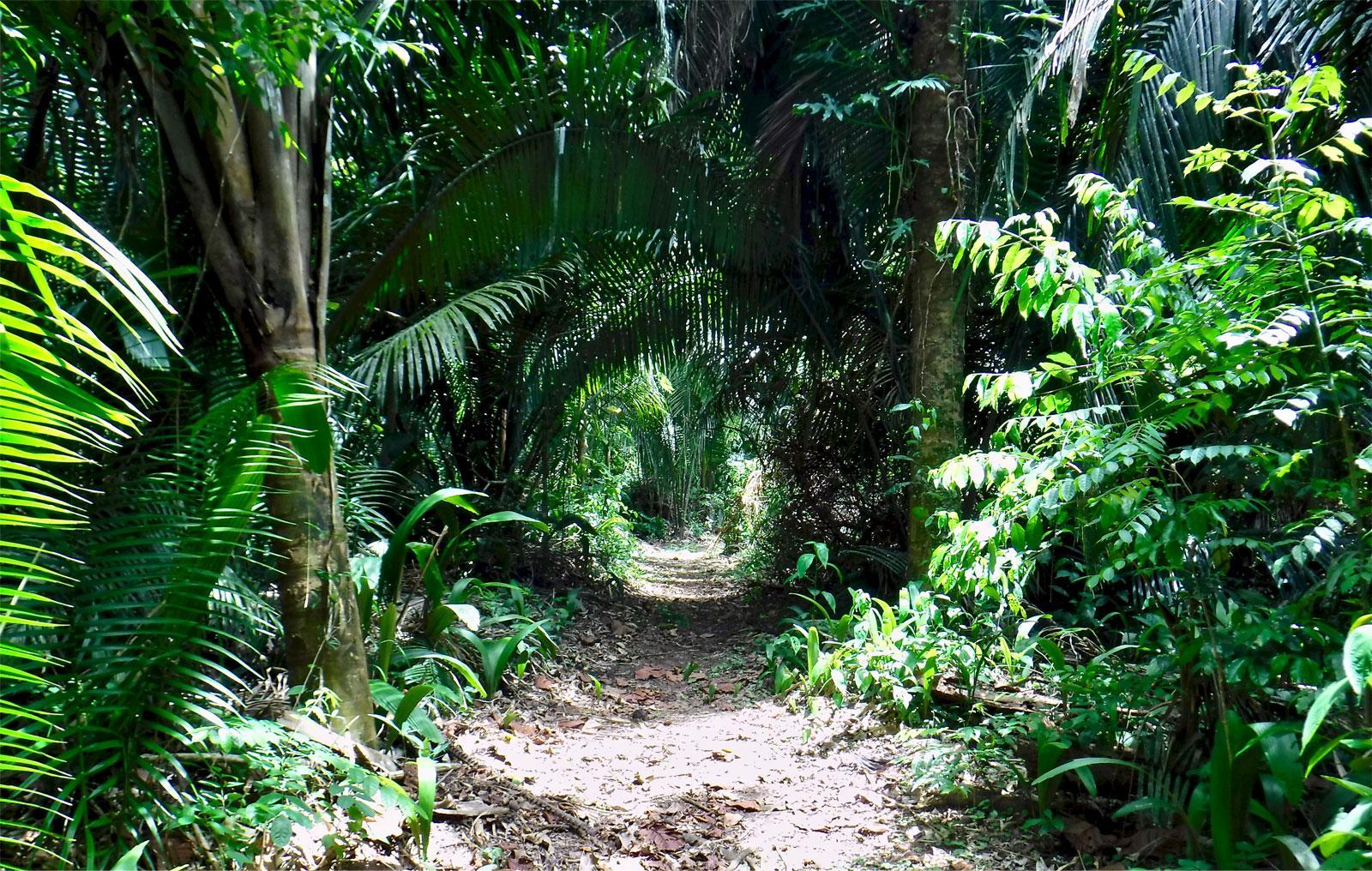 Parc National de Guanacaste