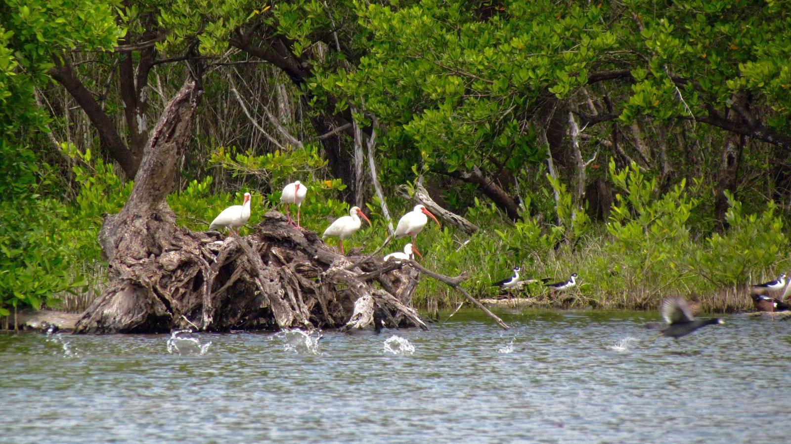 Nationalpark Guanahacabibes