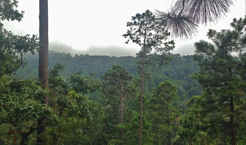 Insurgente José María Morelos National Park