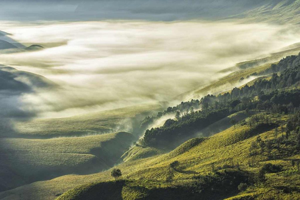 Jemplang Valley on the island of Java, Indonesia