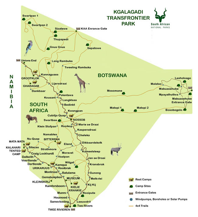 Kgalagadi National Park: A Journey through Botswana's Red Desert