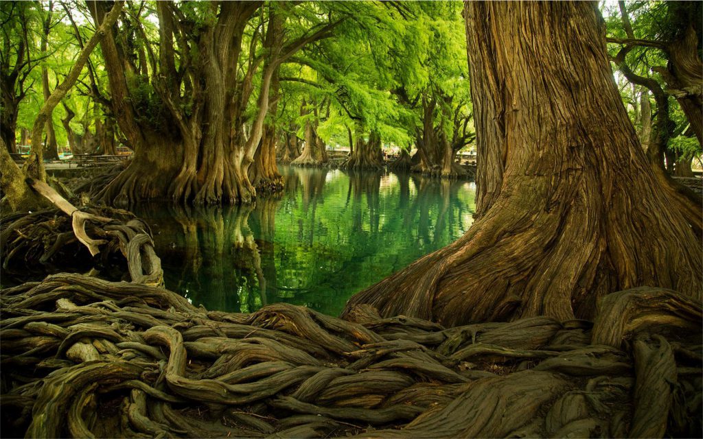 Lago de Camécuaro National Park