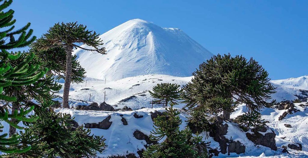 Llaima-Vulkan in Chile