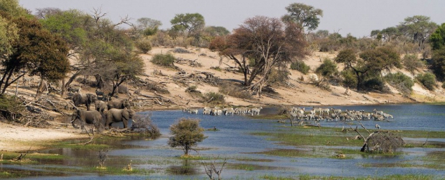 Makgadikgadi National Park