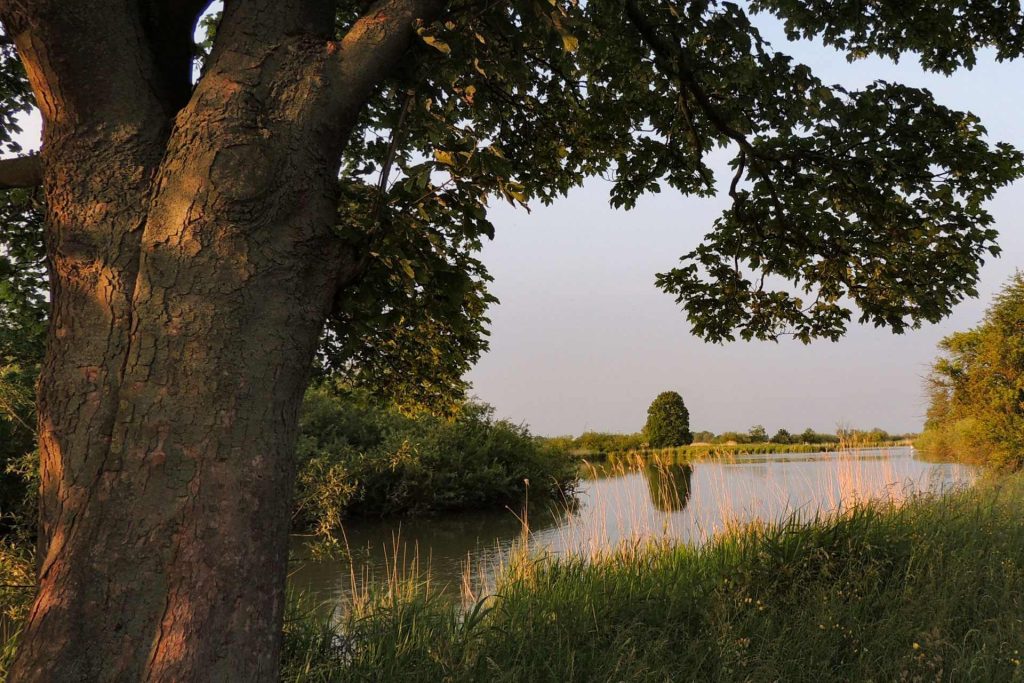 Parque Nacional De Biesbosch (Países Bajos)