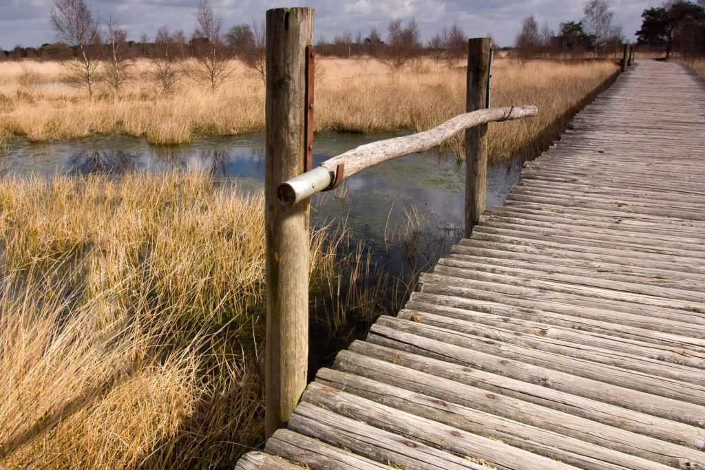 Parque nacional De Groote Peel, Países Bajos