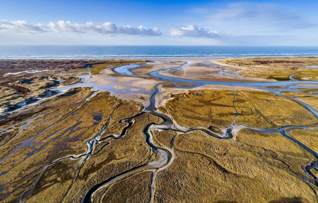 Dunes of Texel National Park, Netherlands