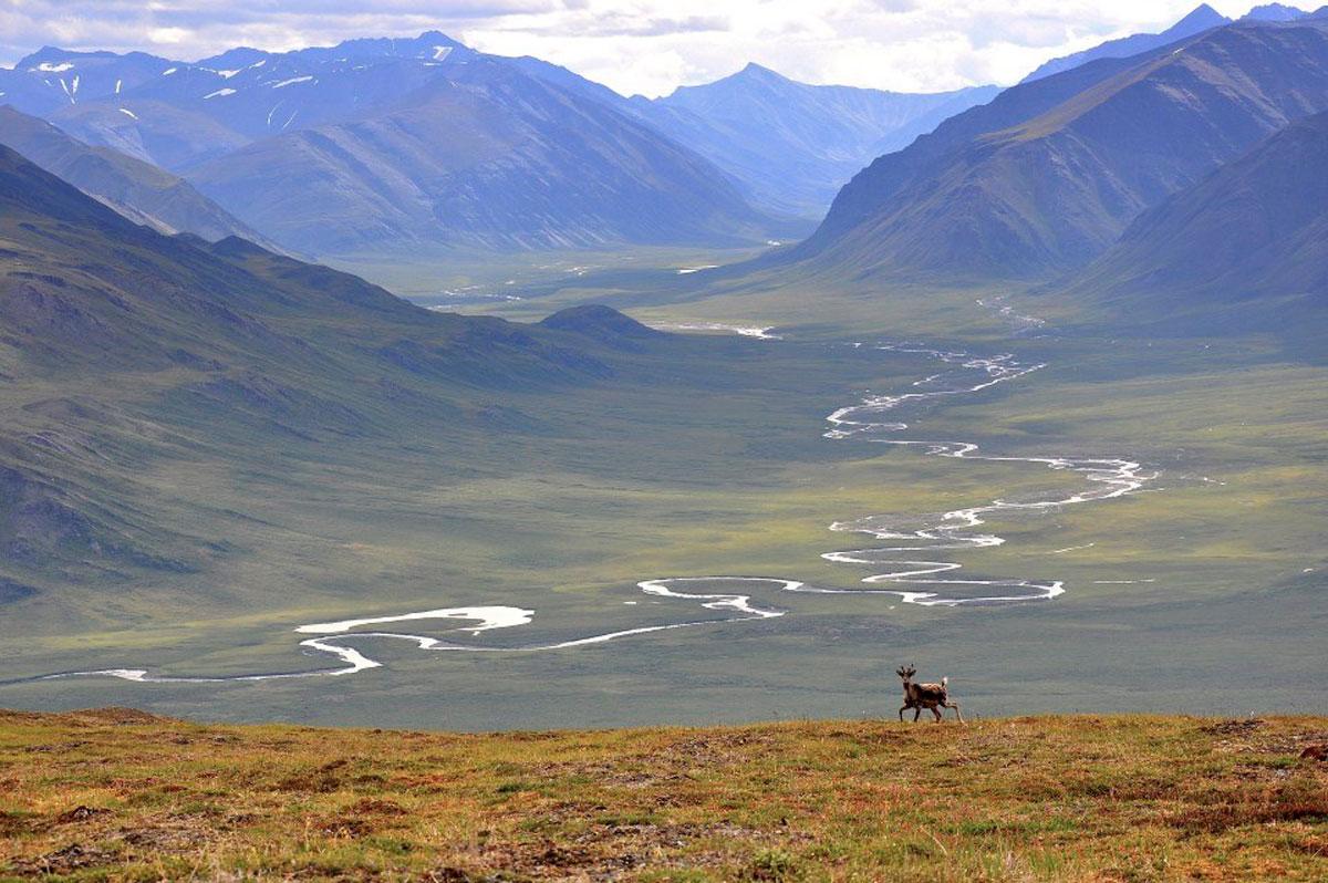 Parc national et Réserve des Gates of the Arctic