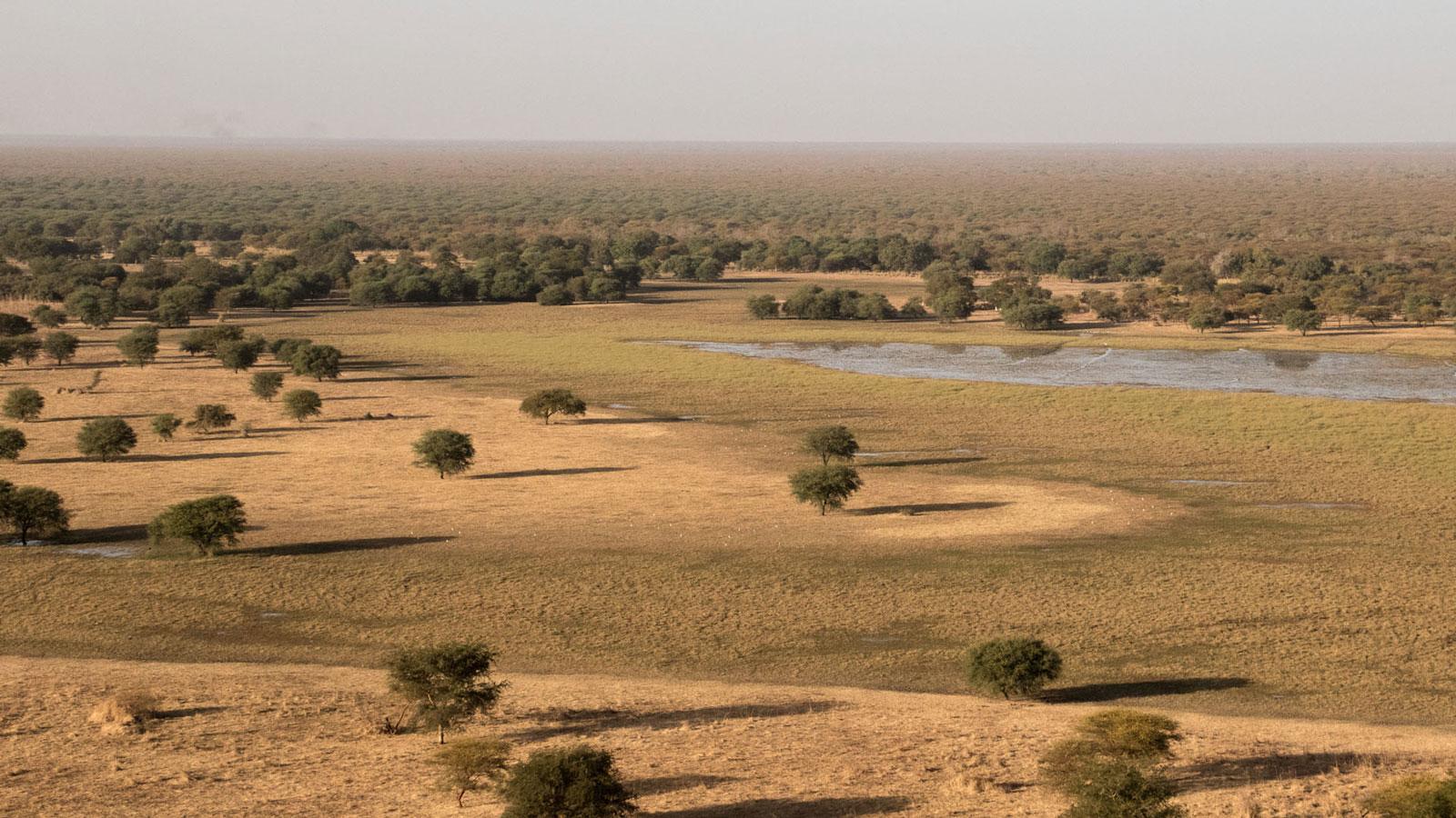Parc National de Goz Beïda : Merveilles naturelles au Tchad