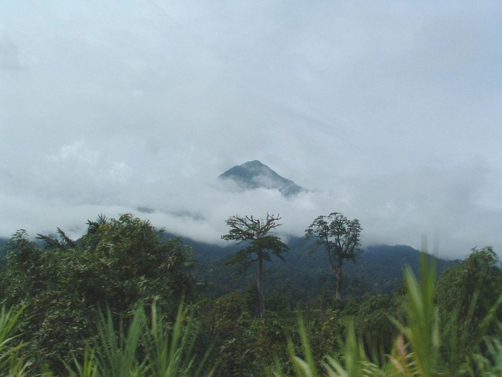 Nationaal Park Mount Cameroon: Natuurlijke Eden in het Hart van Afrika