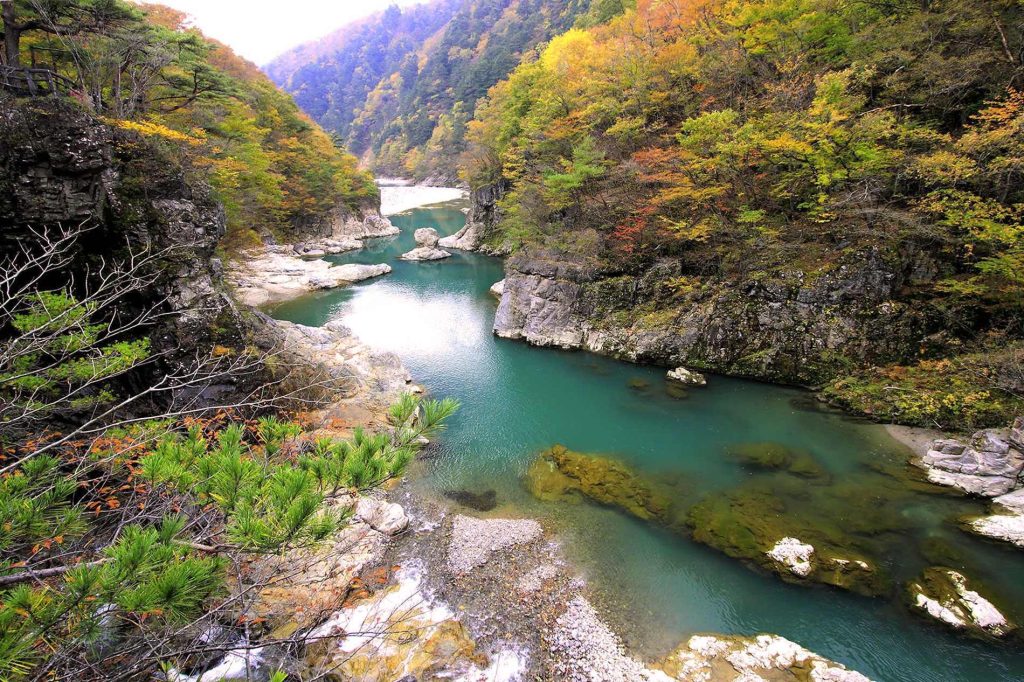 Nikkō National Park: Visitor Guide and Activities