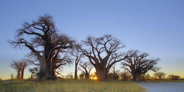 Nxai Pan National Park